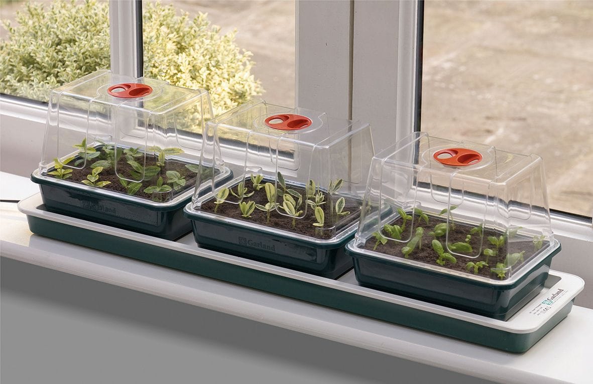 Trio Top Electric Propagator