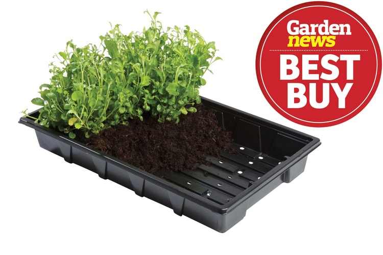 W0002 Professional Seed Trays