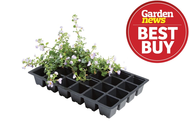 W0014 Professional 24 Cell Inserts