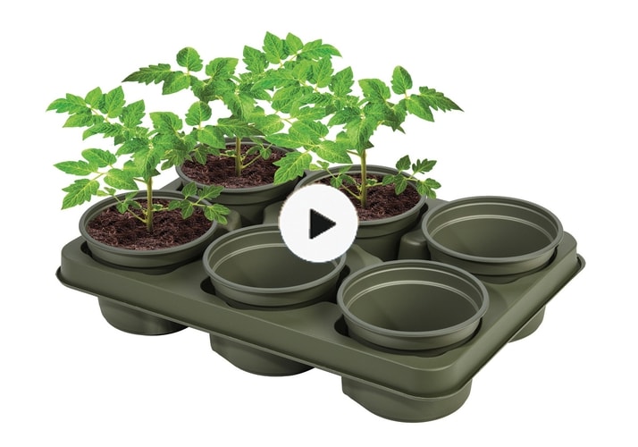 Glee Product Showcase