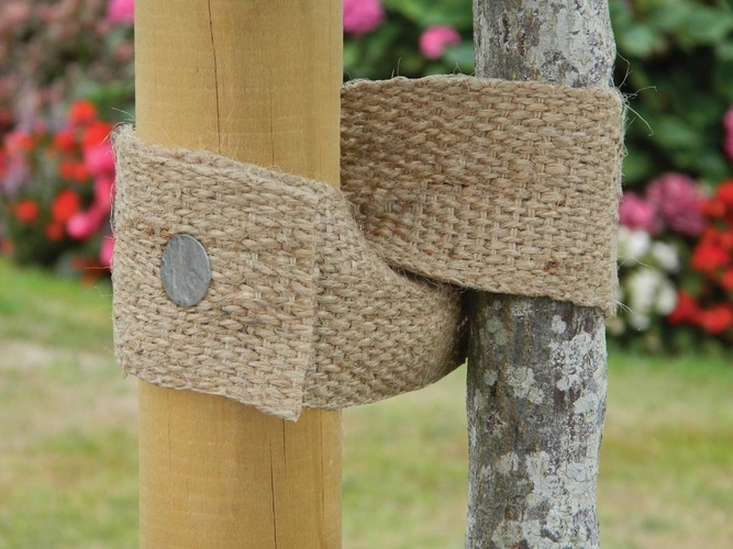 Natural Jute Webbing Tree Ties