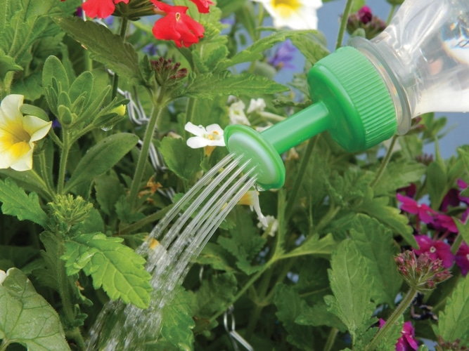 New Little Sprinklers